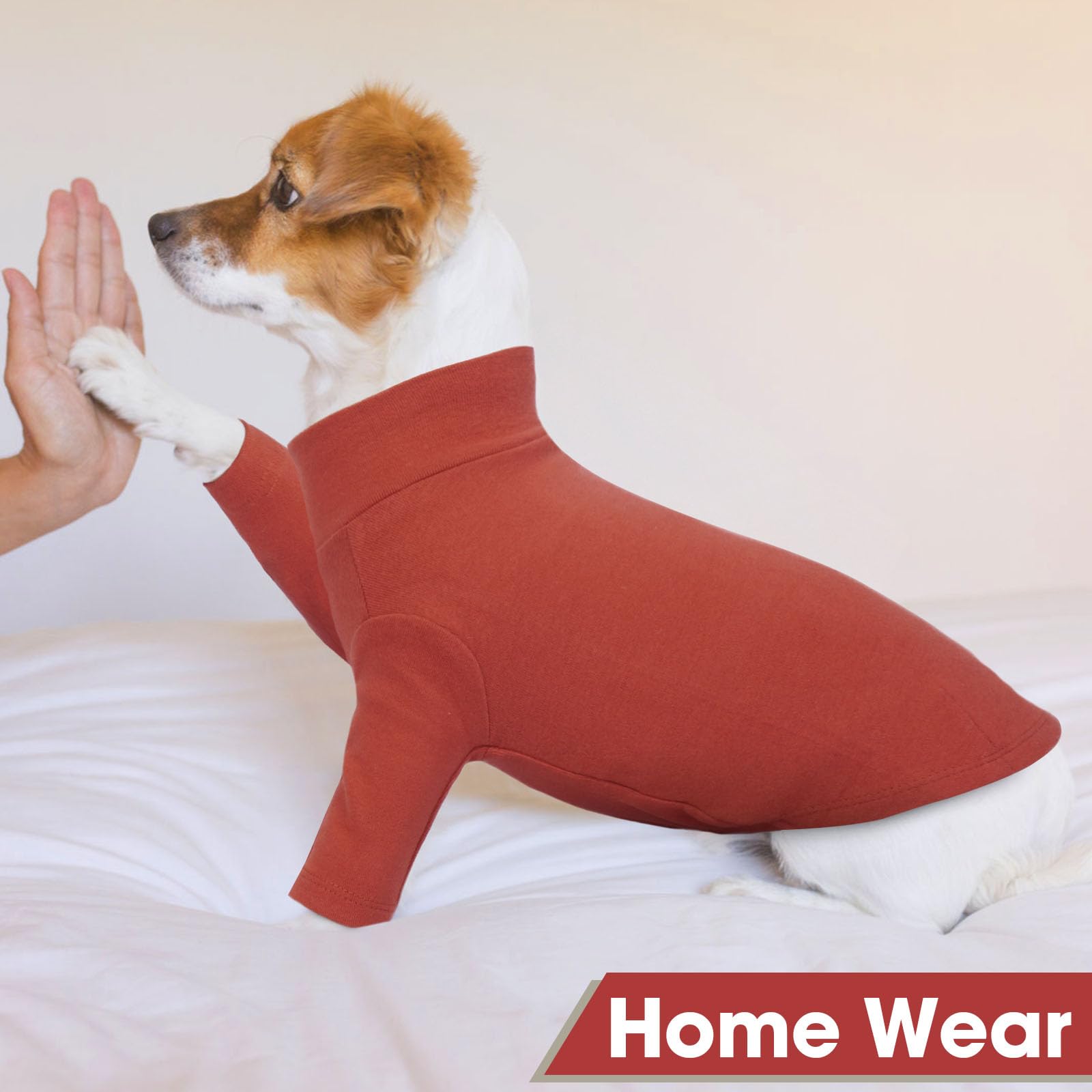 2 Pack Xl Letsqk Plain Pullover Dog Tees For Small Breeds, Stretchy Dog Tshirt, Preventing Pet From Losing Heat After Outdoor Ac