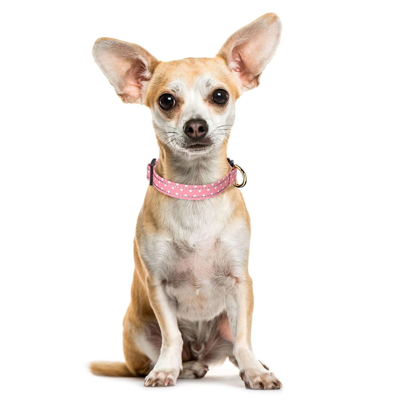 Tmoodel Reflective Dog Collar For Extra Small Dogs, Cute Adjustable Heavy-Duty Nylon Puppy Collars For Boy And Girl Female, Soft