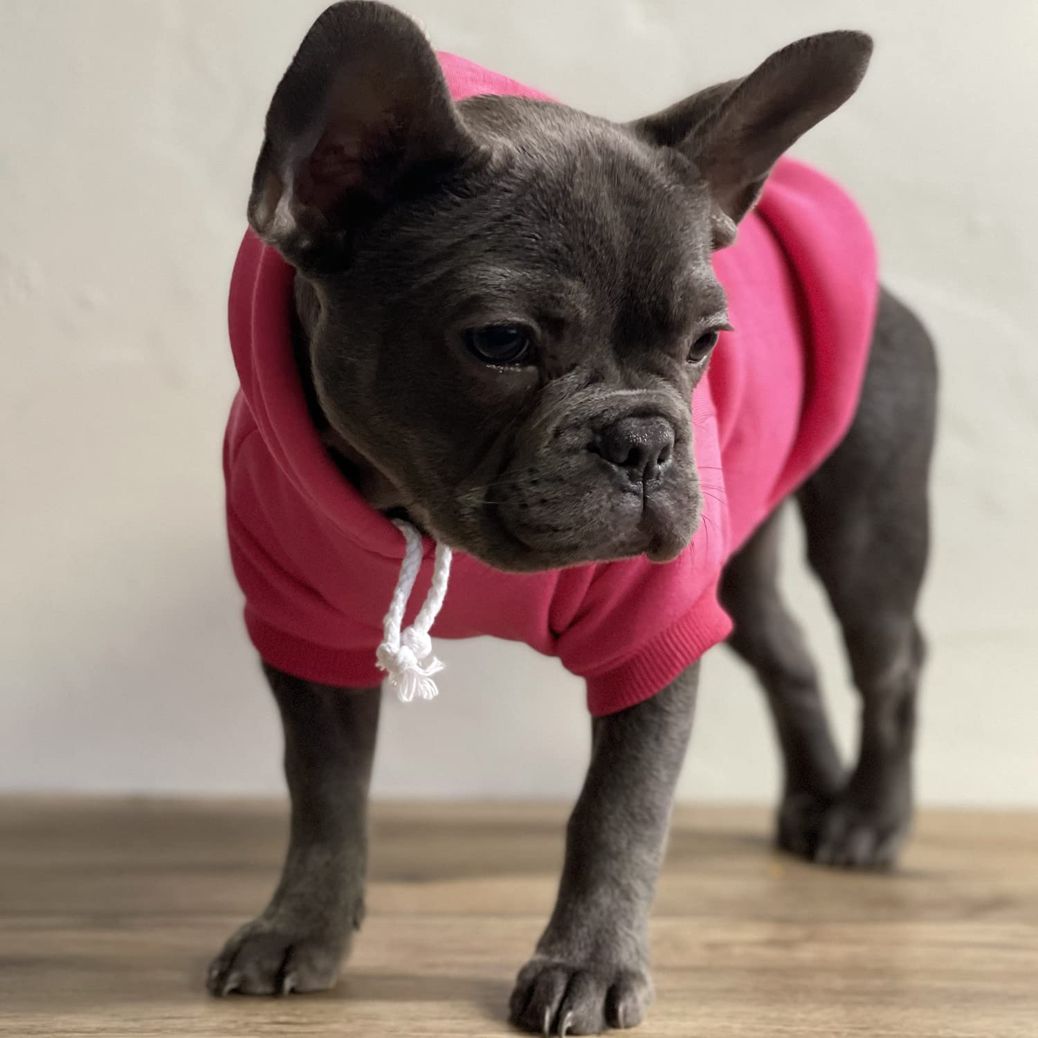 Big Sister Heart Paw Pullover Fleece Lined Dog Hoodie (Black Hooded Sweatshirt)