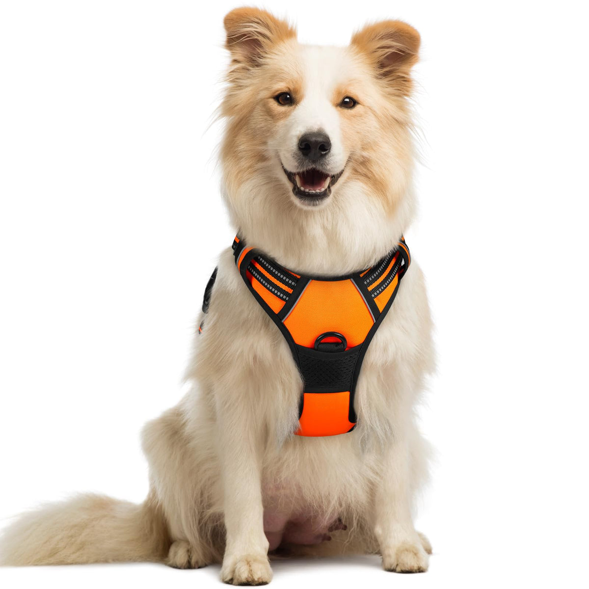 Rabbitgoo Dog Harness,No-Pull Pet Harness With 2 Leash Clips,Adjustable Soft Padded Dog Vest,Reflective No-Choke Pet Oxford Vest With Easy Control Handle For Medium Dogs,Orange, M