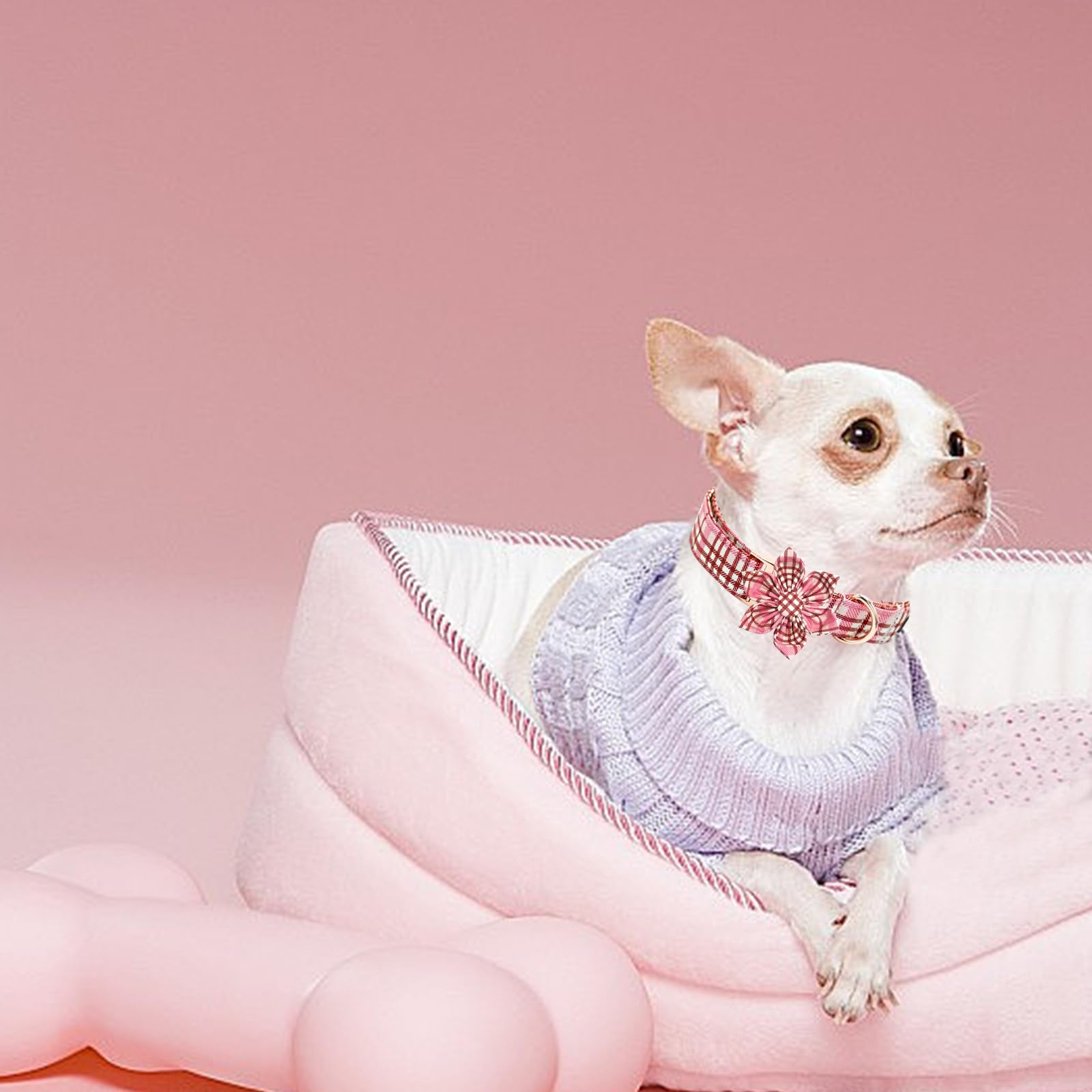 Elegant Little Tail Dog Collar- Cute Pink Dog Collar With Flower For Small Dogs, Female Adjustable Cotton Summer Pet Flower Pupp