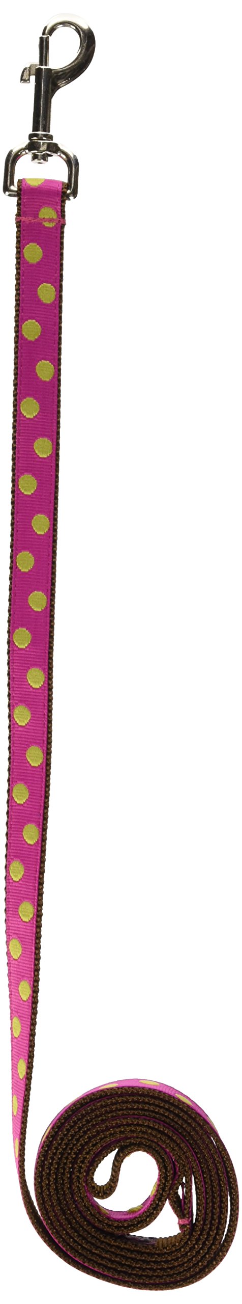 Medium Fuchsia/Lime Dot Dog Leash: 3/4 Wide, 6ft Length - Made in USA.