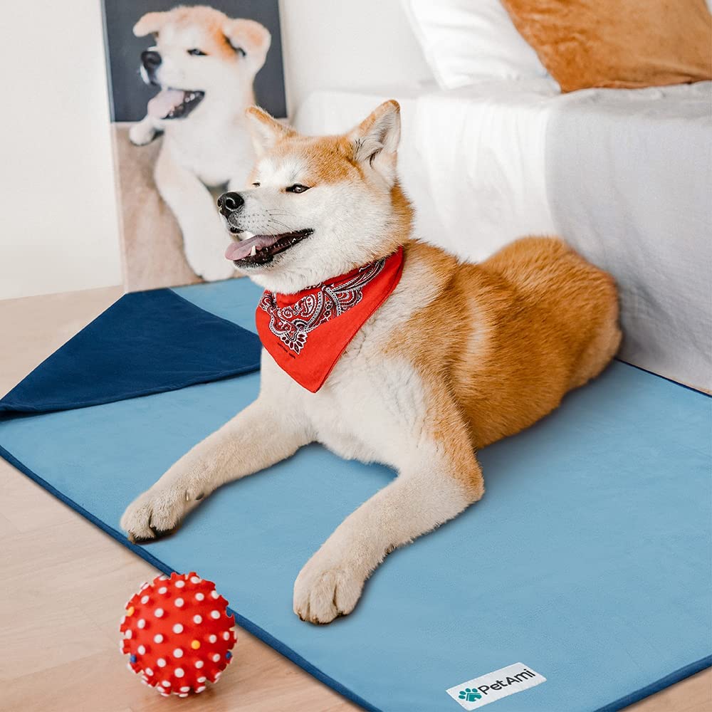 Petami Waterproof Dog Blanket For Small Medium Pets Dogs Cats, Pet Couch Cover Protector For Furniture, Reversible Washable Soft Fleece Cat Blanket For Bed Couch Sofa, 29X40 (Navy/Blue)