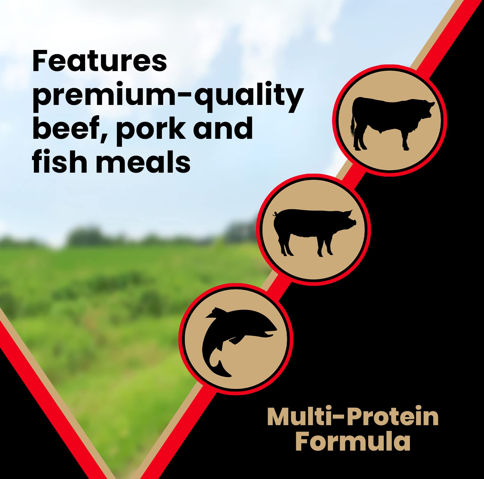 Victor Super Premium Dog Food - Grain Free Active Dog & Puppy - Dry Dog Food with 33% Protein, Gluten Free - for High Energy Dog