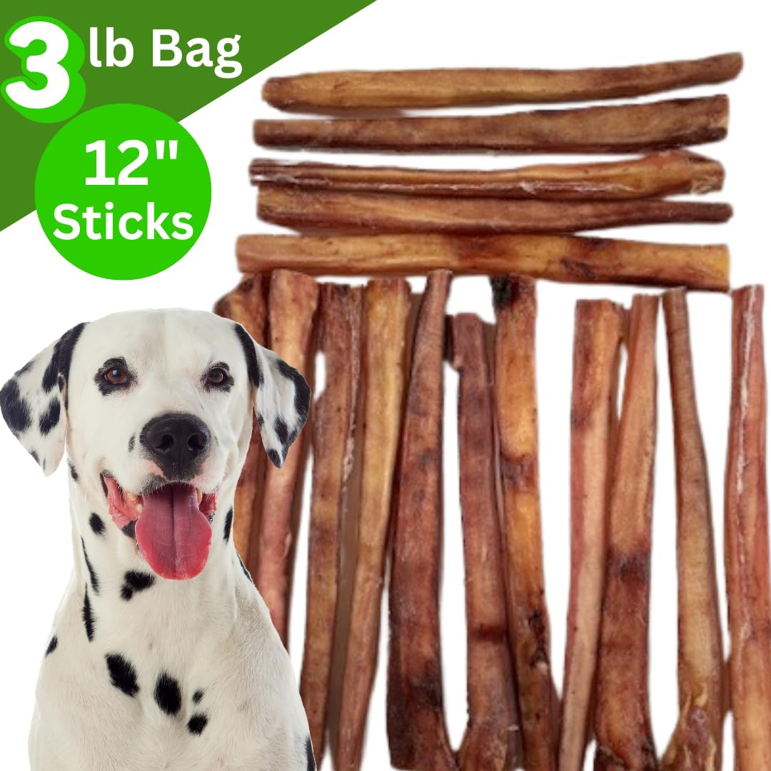 EXQUISITE PETS, LTD. 12 Bully Sticks 3lb-Bag Bulk 100% Brazilian Bull Pizzle Thick Odorless Long Lasting No Grains or Rawhide He