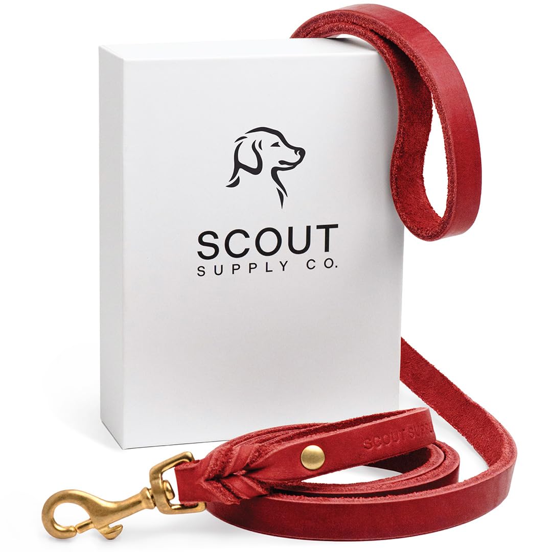 Scout Supply Classic Leather Dog Leash | Strong Heavy Duty Thick Full Grain Leather | Waterproof & Rust-Proof Brass Hardware (Re