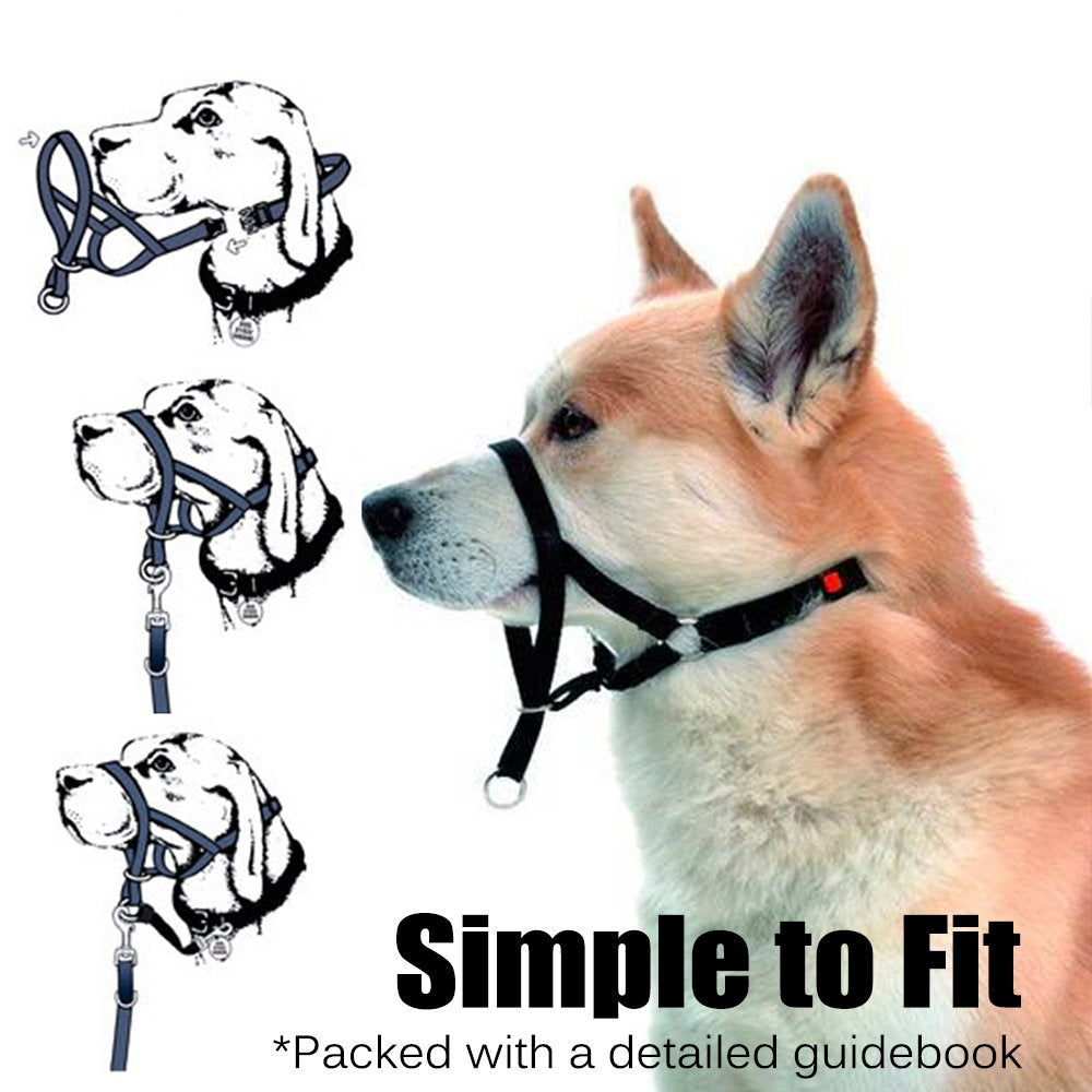 Soft Dog Head Collar, No Pull Training Tool For Small Medium Large Dogs On Walks, Gentle Training Collar And Control For Heavy Pullers, Includes Free Training Guide (M, Blue)
