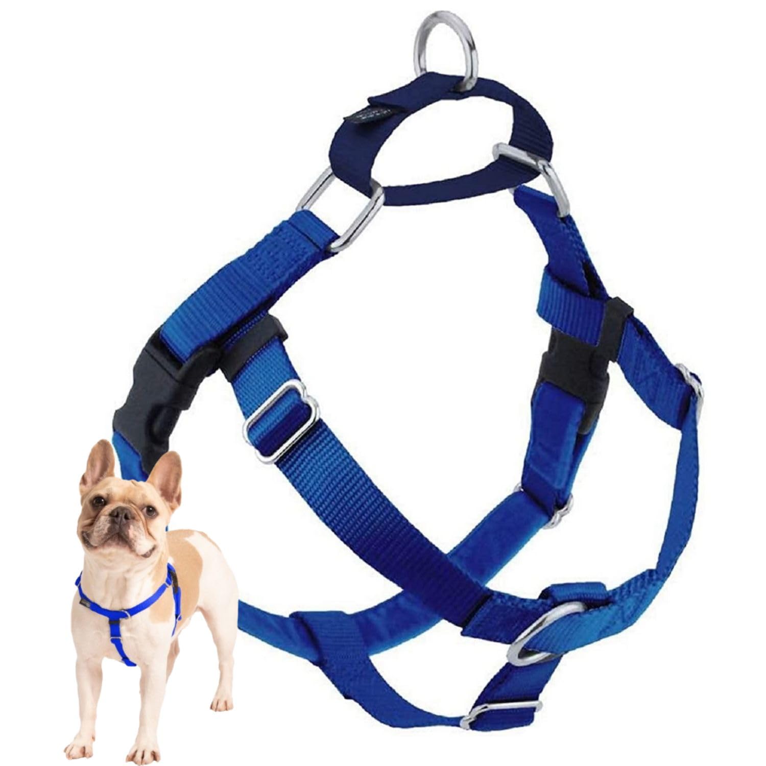 Freedom No Pull Dog Harness, Harness Only (Blue, Medium (1' Wide)