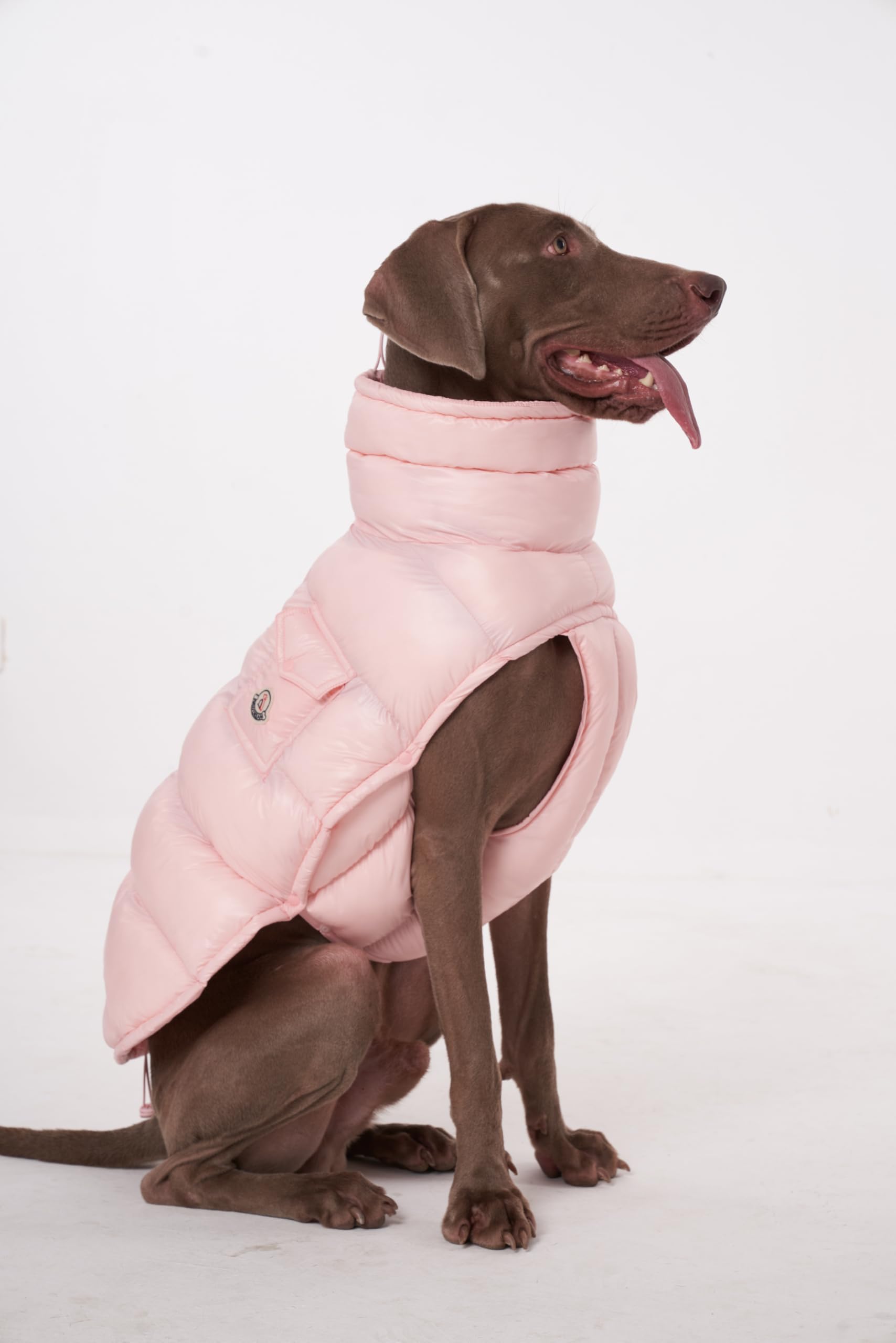 Chochocho Winter Jacket, Cold Weather Coats, Lightweight, Thermal Insulated, Water-Resistant, Adjustable Dogs Jackets With Leash