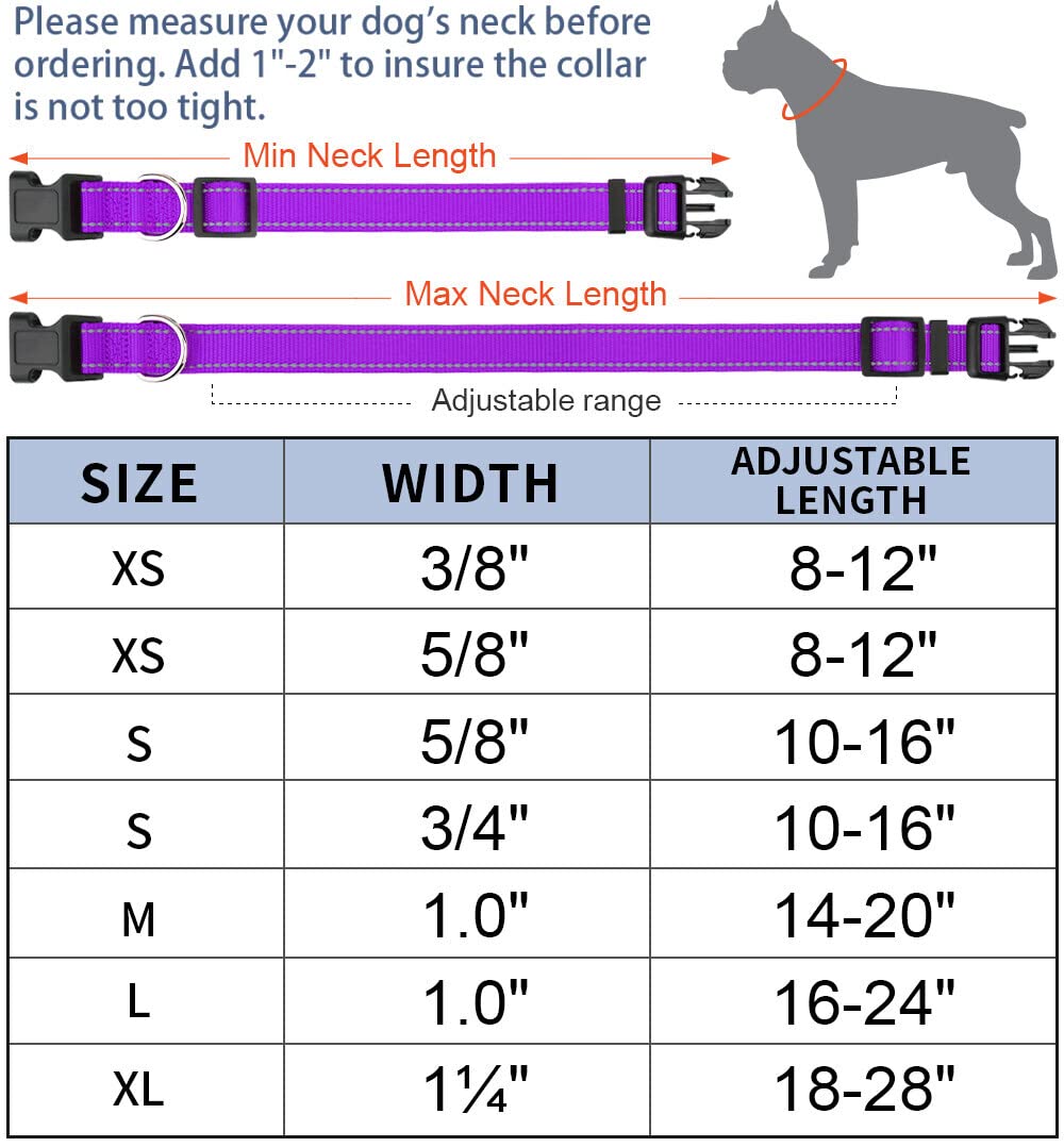 Taglory Reflective Adjustable Dog Collars For Puppy Small Medium Large Dogs, Thin Nylon Webbing And Quick Release Plastic Buckle(Purple,Large)