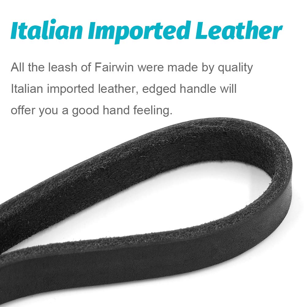 FAIRWIN Leather Dog Leash - 6ft Heavy Duty Braided Leash for Large/Medium Dogs, Black, Model FW004B