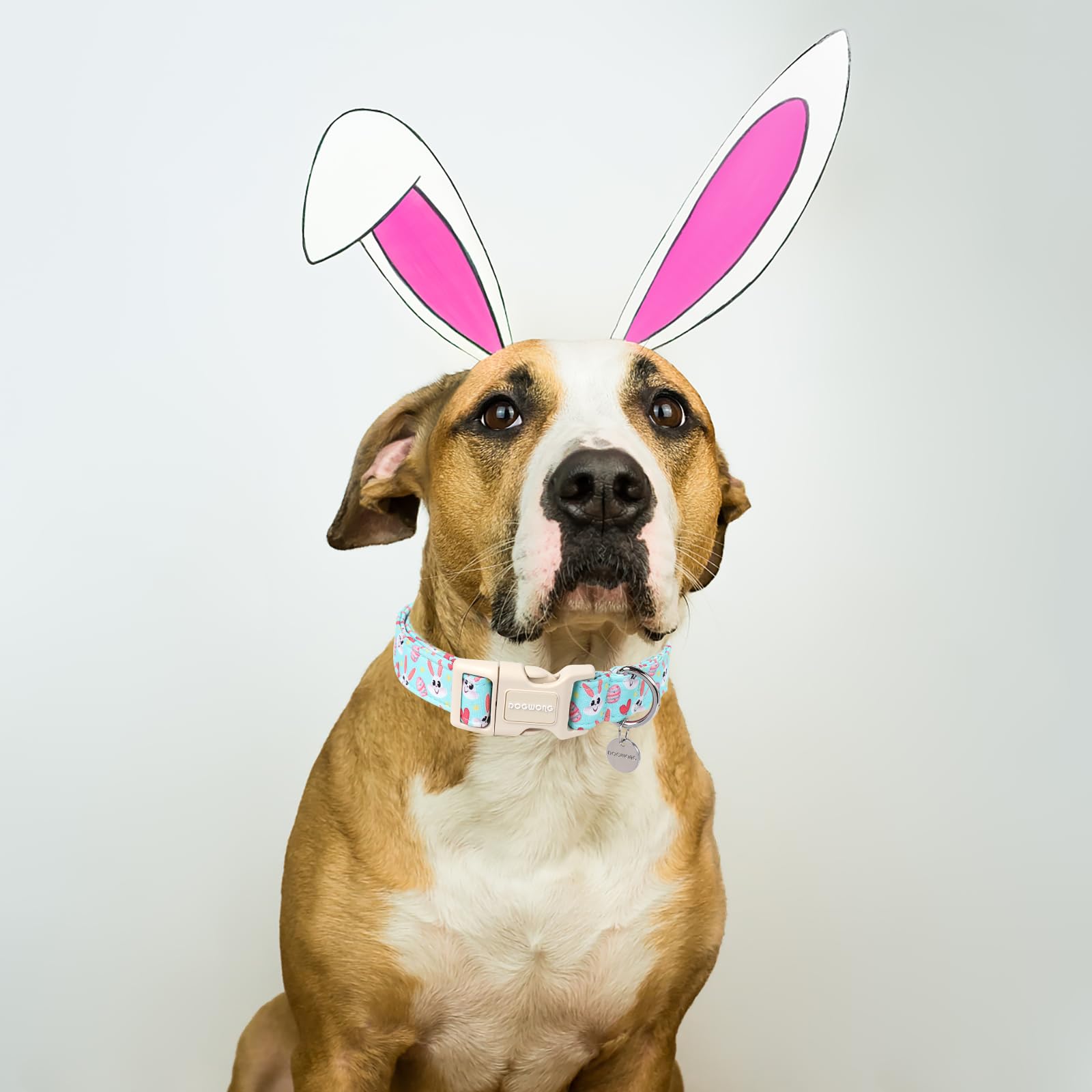 Dogwong Easter Dog Collar, Blue Bunny Egg Dog Collar Soft Durable Adjustable Costume Cute Rabbit Easter Puppy Collar For Small M