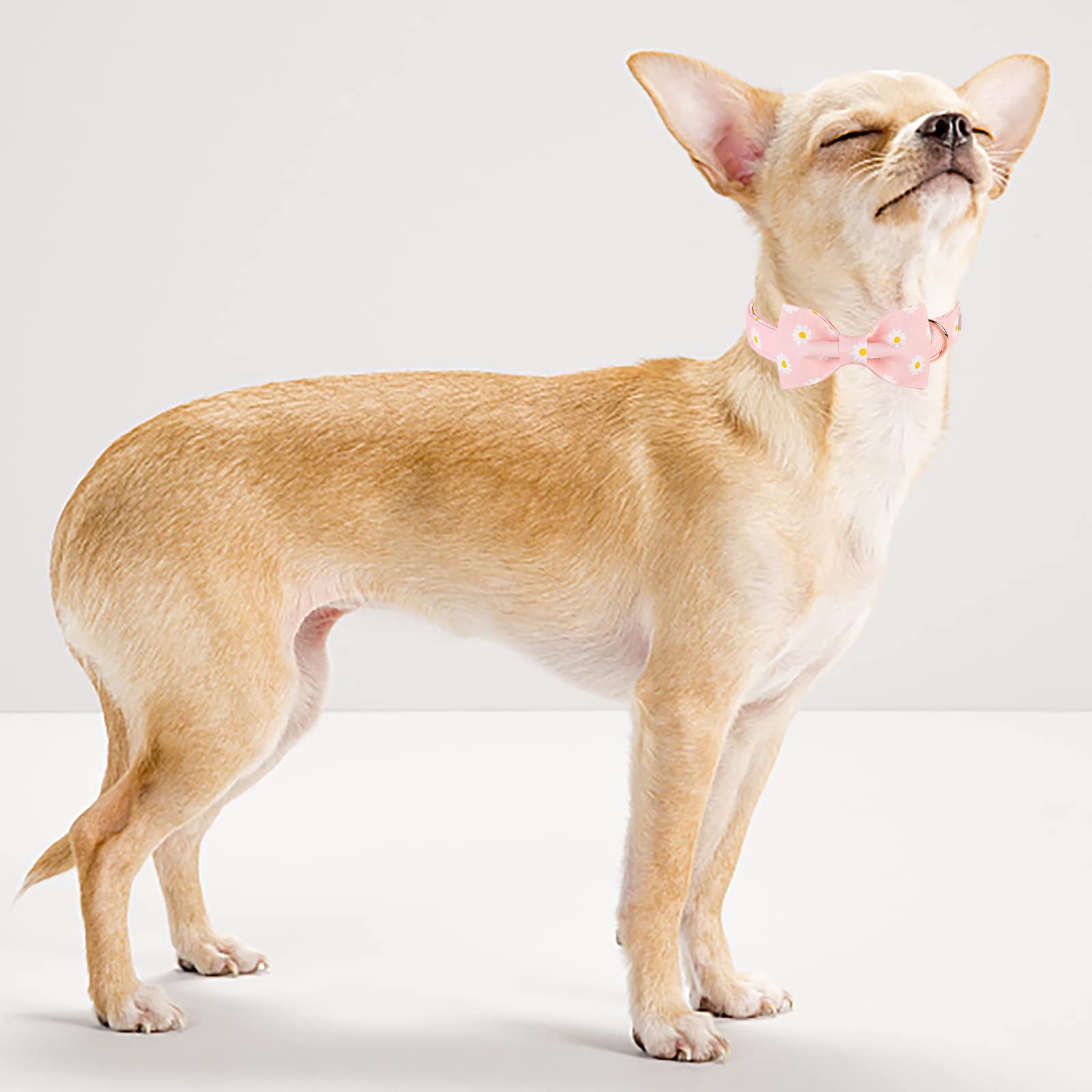 Babole Pet Dog Collar With Pink Daisy Bow Tie,Cotton Dog Collar With Safety Metal Buckle Adjustable Puppy Collars For Small Medium Large Boy&Girl Dog,Small,Neck 10'-16'