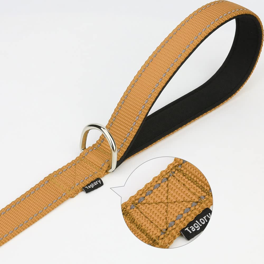 Taglory Nylon Dog Leash 6Ft, Soft Padded Handle Pet Reflective Leashes For Puppy Small Medium Dogs Walking & Training,Tan