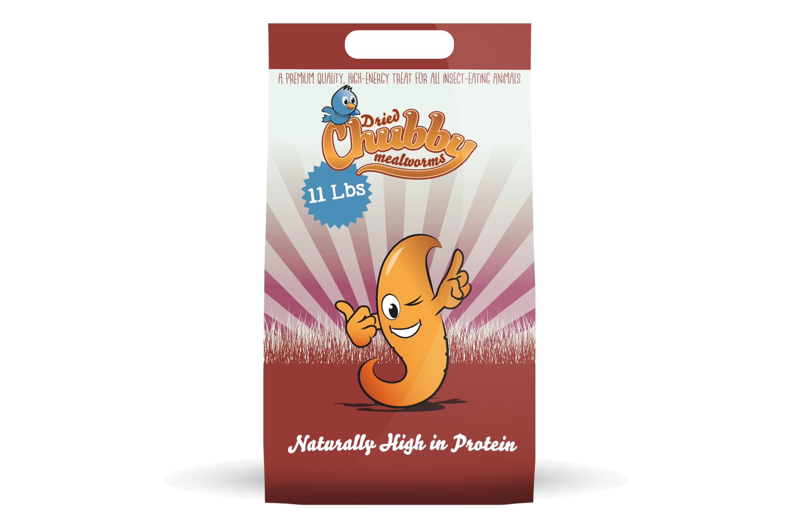 11lb Chubby Mealworms Bulk Dried Mealworms High Protein Treat for Chickens, Ducks, Birds and Much More