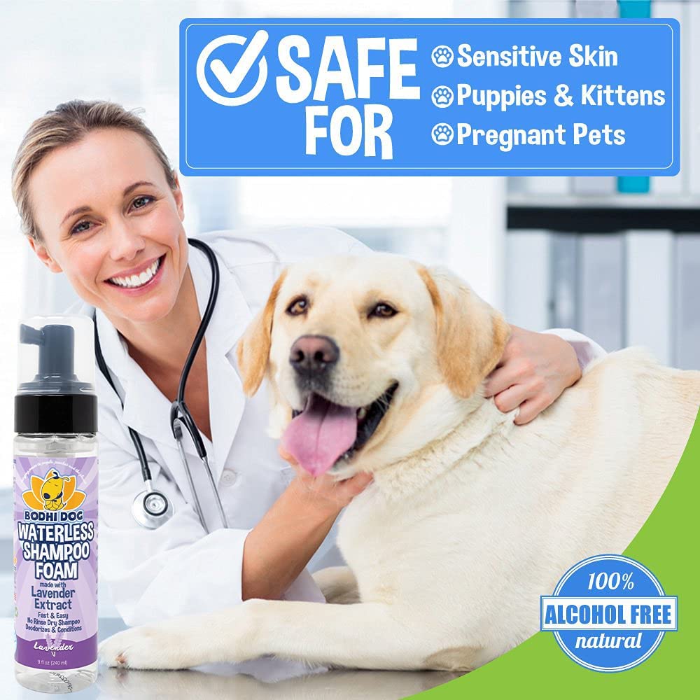 Bodhi Dog Waterless Shampoo - Natural Dry Shampoo For Dogs & Cats - Neutralizes Pet Odor - No Rinse Required - Made Of Natural Extracts - Safe For Sensitive Skin - Made In Usa - Lavender (8 Fl Oz)