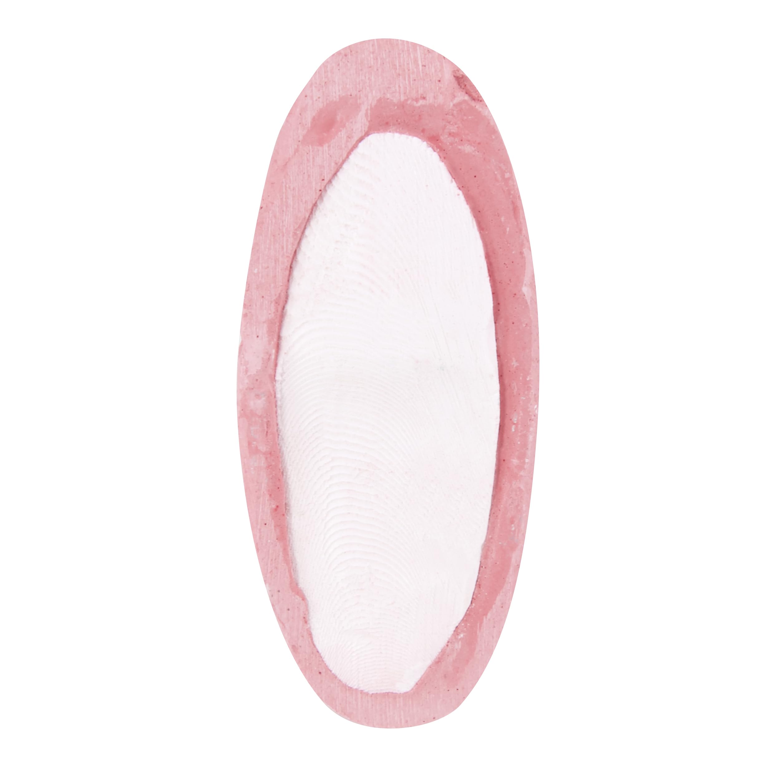 Penn-Plax Bird-Life 2-in-1 E-Cuttlebone & Mineral Block - Berry Flavor - Great for All Birds - 1 Pack