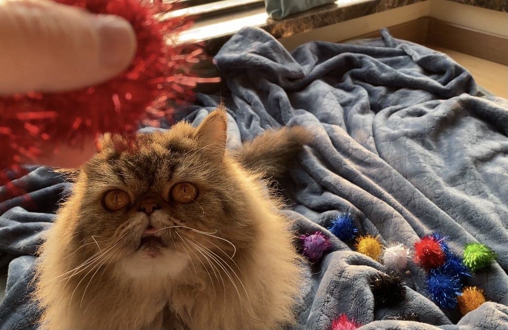 Rimobul 100Pcs 1.5 Inch Cat Toy Balls Extra Large Sparkly Cat'S Favorite Chase Glitter Ball Toy Sparkle Pom Pom Balls