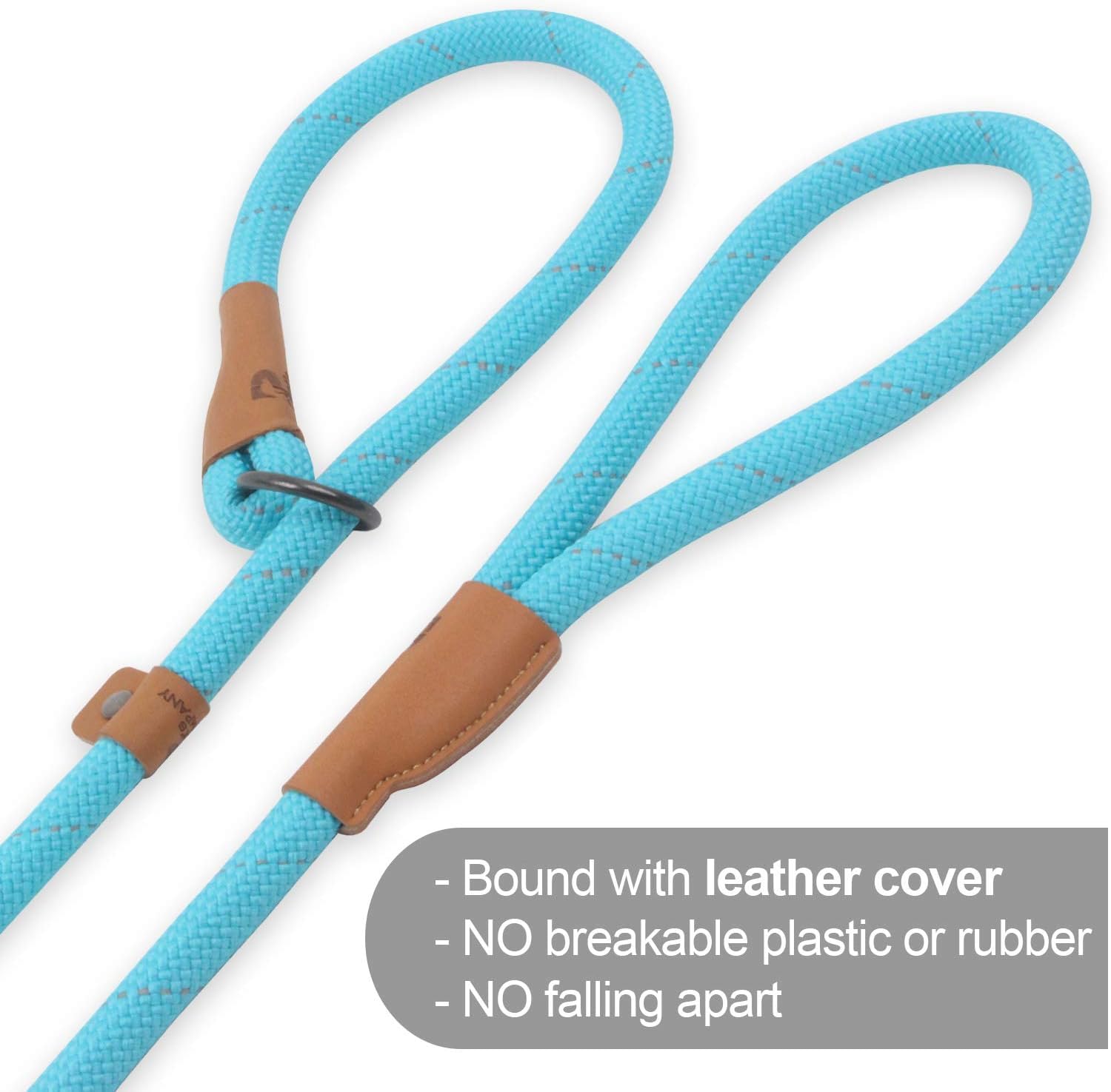 Slip Lead Dog Leash - 5Ft, 2 Sizes - Reflective Mountain Climbing Rope (Black, 2/1)