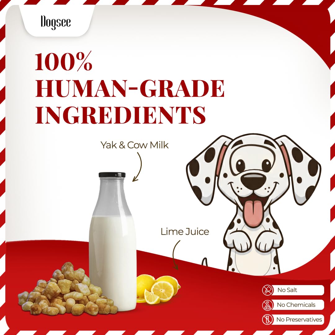 Dogsee Chew Mini Pops for Dogs and Puppies - Cheese | Dental Treats | High Protein | High Calcium | Low Fat | Helps Fight Plaque