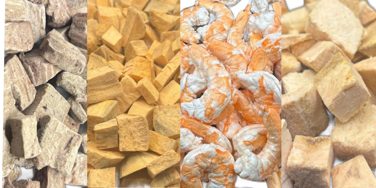 The Dog Bodega Bussin Bites Premium Freeze Dried Fish Dog Treats Cat Treats, 100% Pure Salmon, Jammin Salmon, 1.5 oz