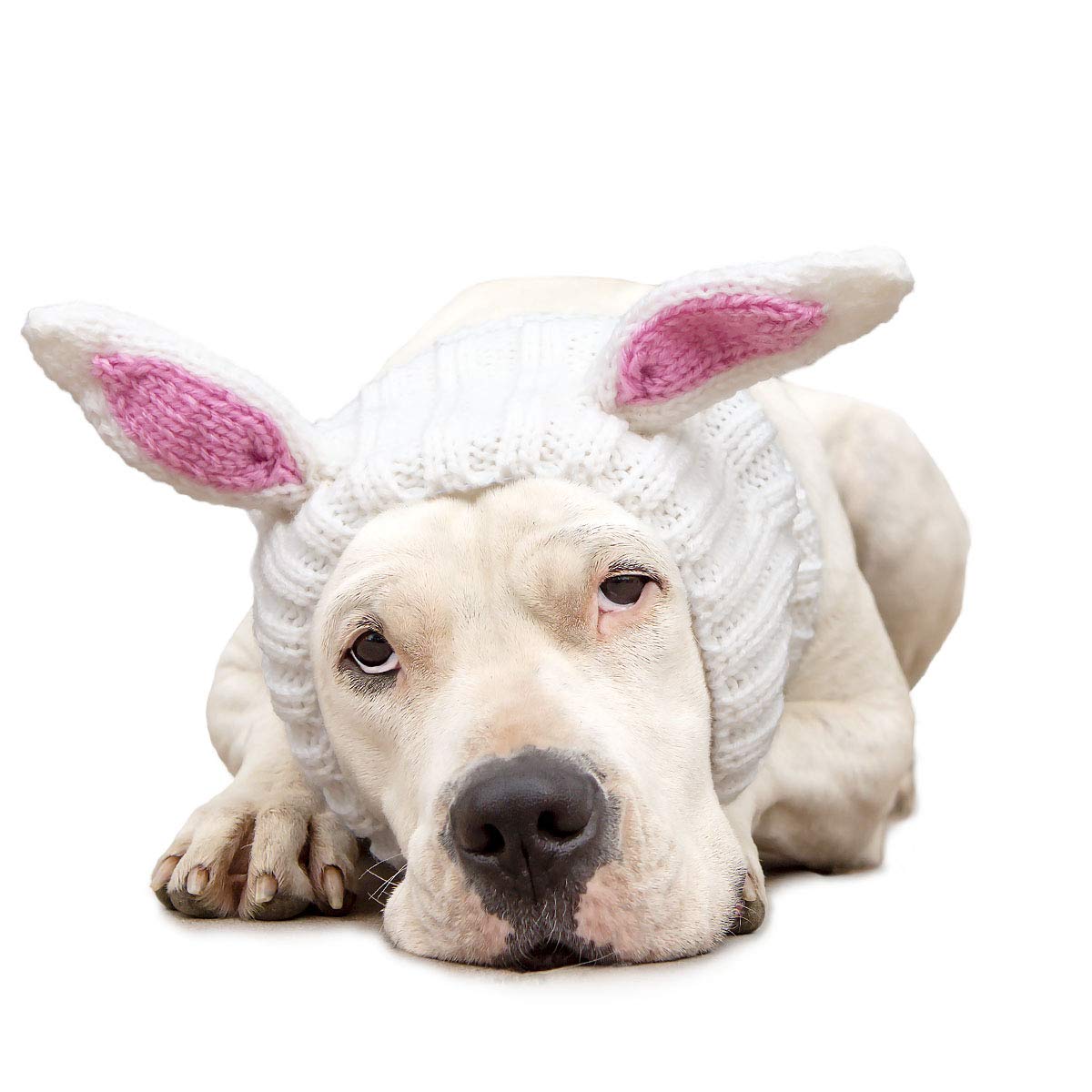 Zoo Snoods Bunny Costume for Dogs & Cats - Warm No Flap Ear Wrap Hood for Pets, Dog Bunny Ears for Winters, Easter, Halloween, C