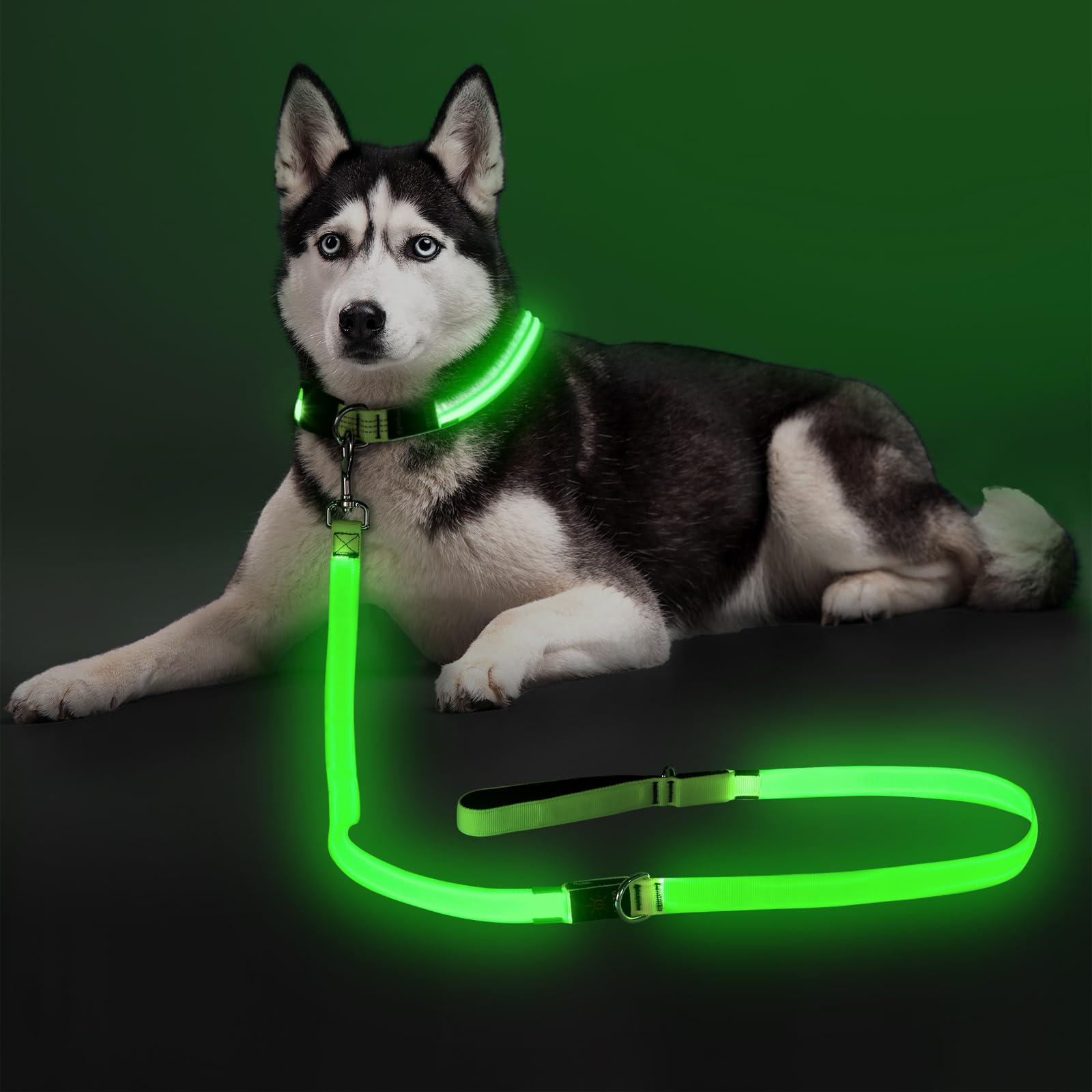 Colaseeme LED Dog Leash Light Up Dog Leash 6 Feet Micro USB Rechargeable Nylon Webbing Glow Safety Standard Dog Leashes for Dogs