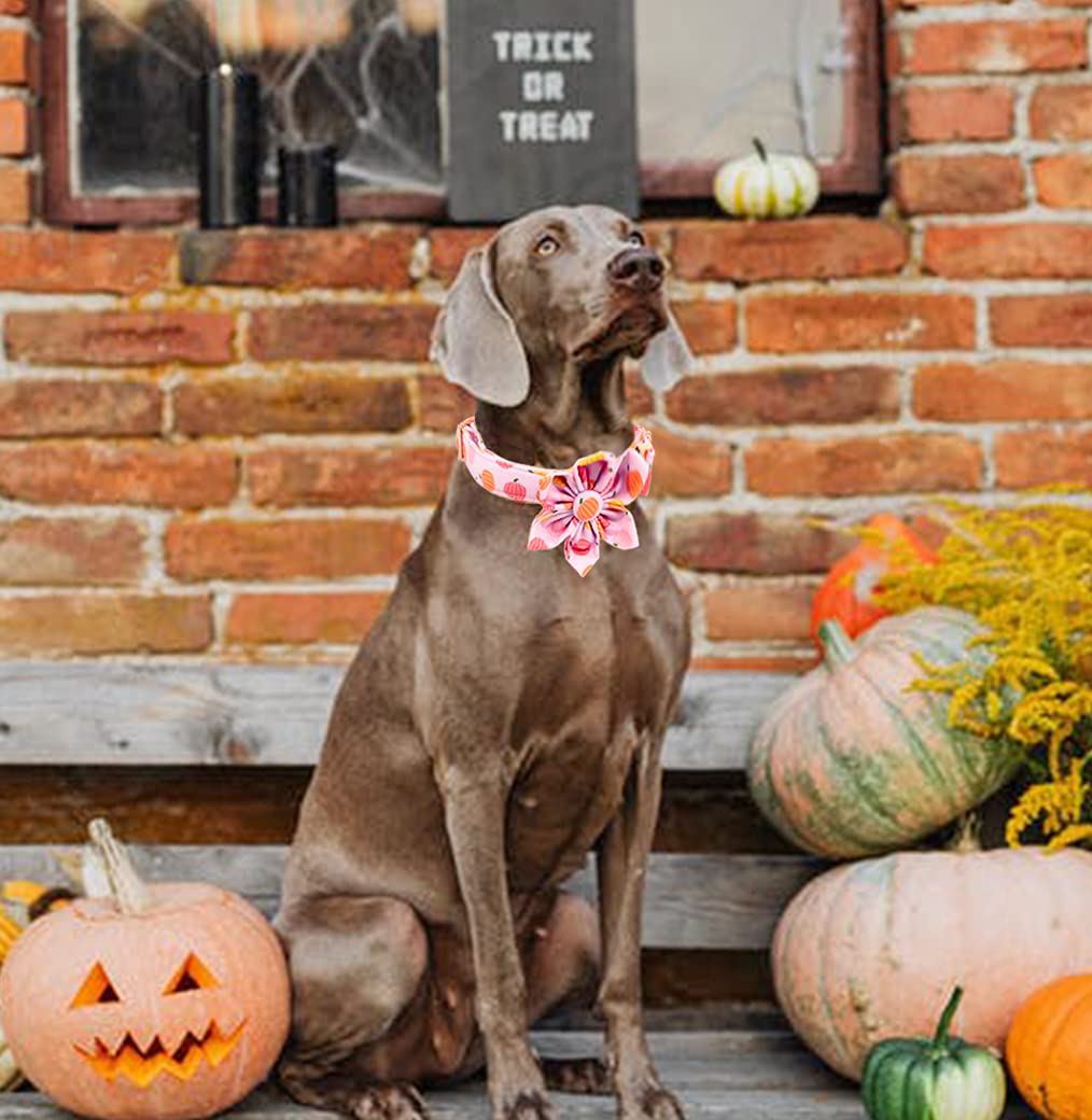 Aring Pet Dog Collar With Flower, Dog Collar With Detachable Flower, Adjustable & Nice Halloween Pink Pumpkin Dog Collar With Metal Buckle