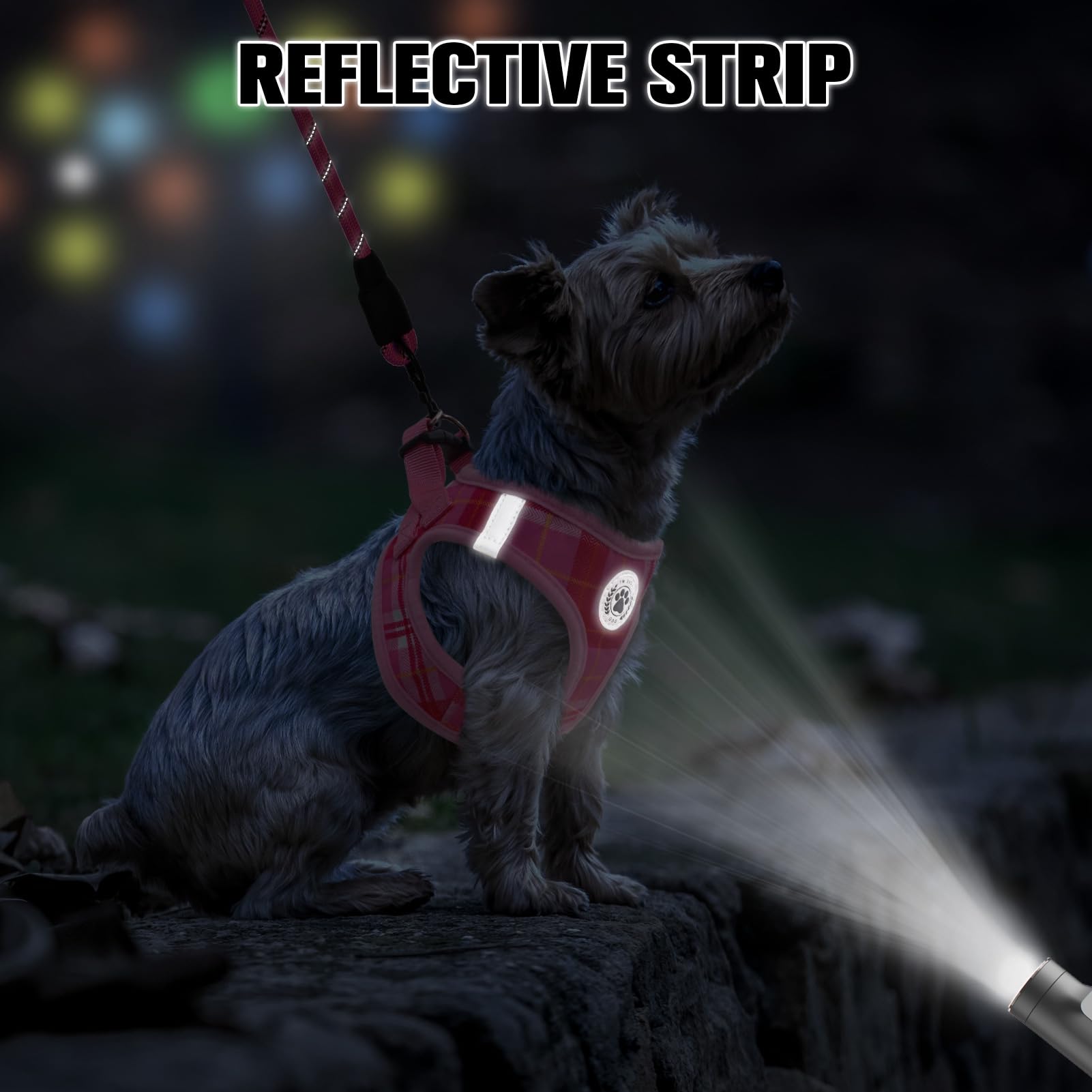 Beautyzoo Small Dog Harness And Leash Set, Step In No Choke No Pull Soft Mesh Dog Harnesses Reflective For Small Medium Puppy Do