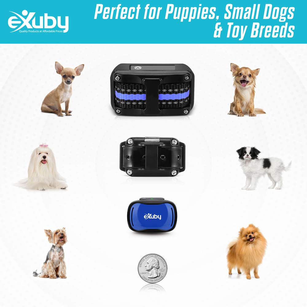 eXuby Vibrating Dog Collar - No Shock Training Collar for Small Dogs (5-15 lbs) - Blue - 1,000 FT Range - Long Lasting Battery Life