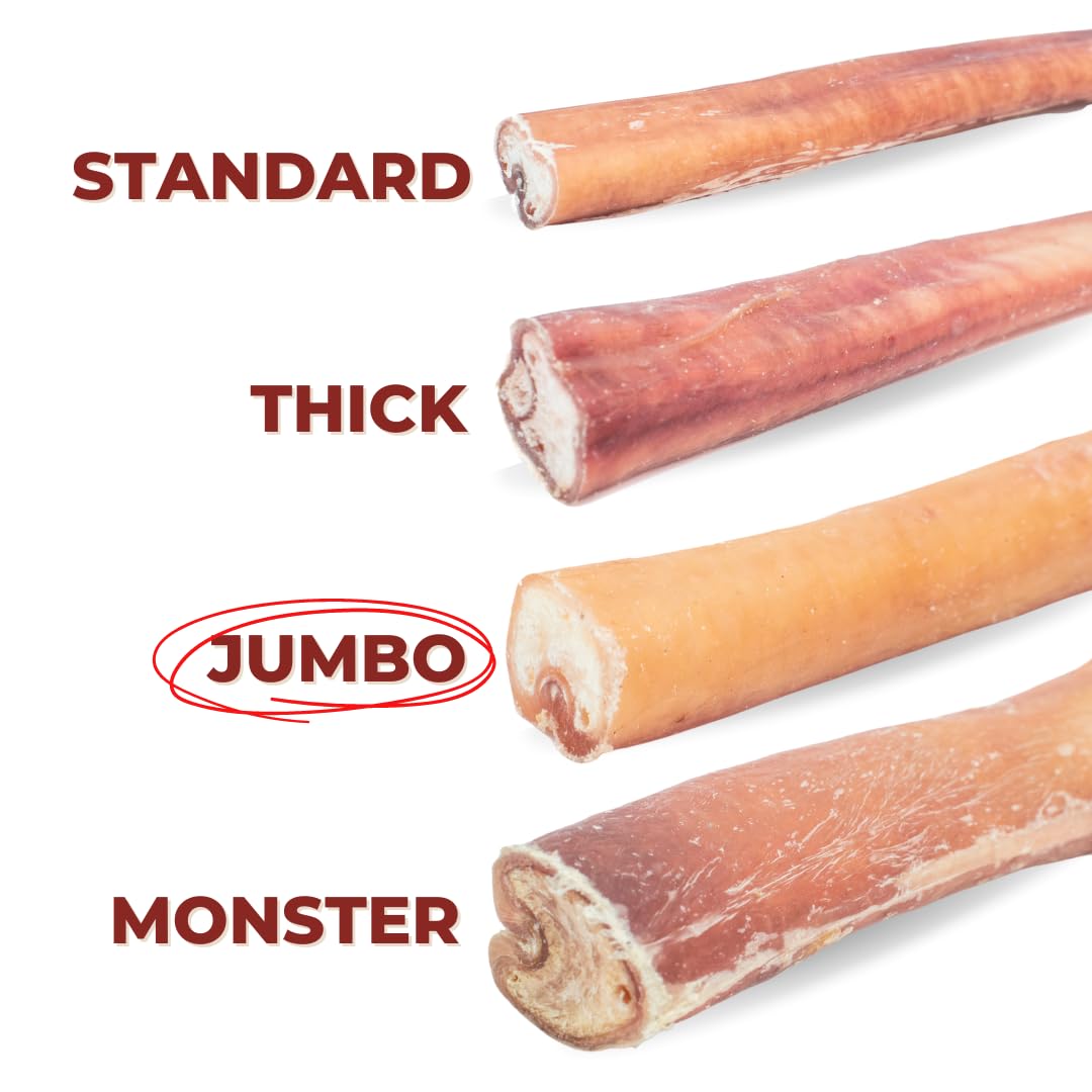 Bully Bunches Premium 6 Inch Jumbo Odor-Free Bully Sticks for Medium & Large Dogs - Long Lasting Chews for Oral Care - All Natur