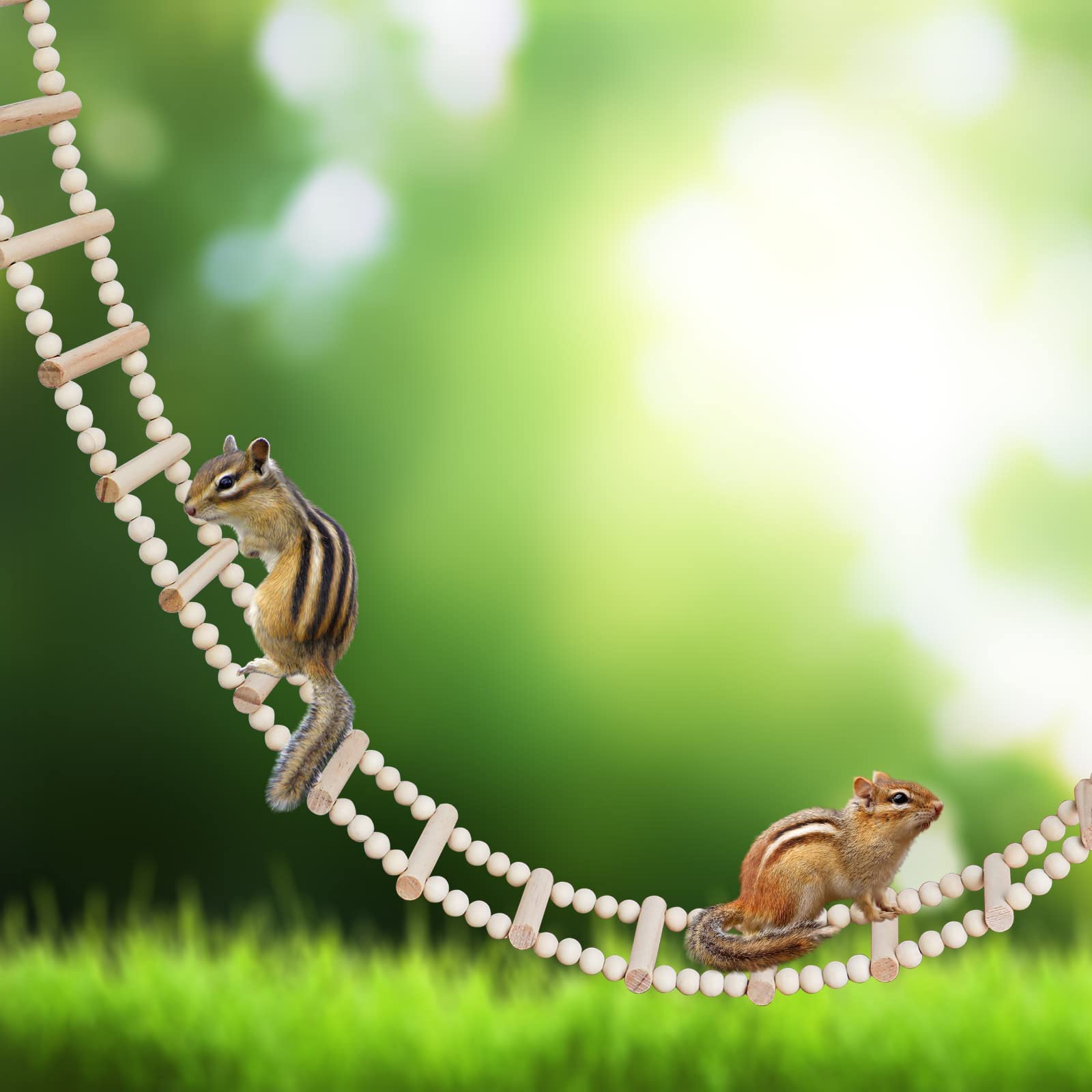 Bird Wooden Ladder Bridge, Pet Hamster Climbing Ladder Toys, Ladders Swing Toys, Wood Climbing Ladders For Bird Parrot Hamster Squirrel Totoro Sugar Gliders (28 Ladders)(61.81X3.14 Inches)