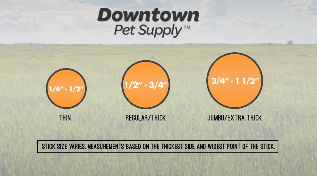 Downtown Pet Supply - Bully Sticks for Dogs - Dental Treats & Rawhide-Free Chews With Protein, Vitamins & Minerals - Natural Bee