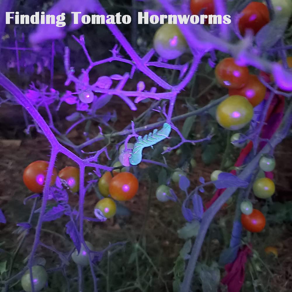 Beike Uv Flashlight Black Light, Small Portable Blacklight Flashlight Uv Light, 12 Led Mini Black Light Flashlight For Pet Urine Detection (Dog Cat), Scorpion, Resin Curing, Bed Bug