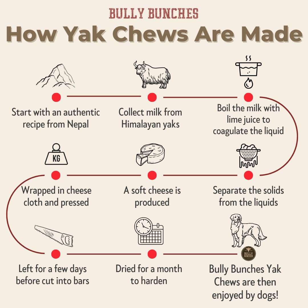 Bully Bunches Large Authentic Yak Cheese Himalayan Chews for Large Dogs & Heavy Chewers - All Natural Dog Treat Dental Chews, Ma