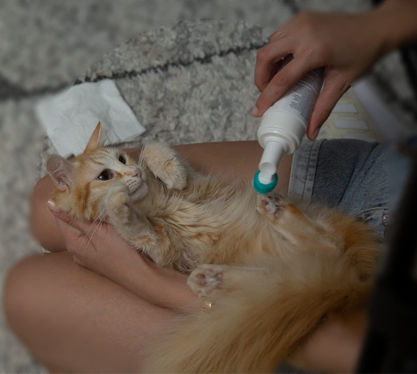 Hipet Dog Paw Cleaner Foam With Built-In Paw Scrubber Brush, Paw Cleaner For Dogs And Cats, Cat And Dog Paw Moisturizer, Effortl
