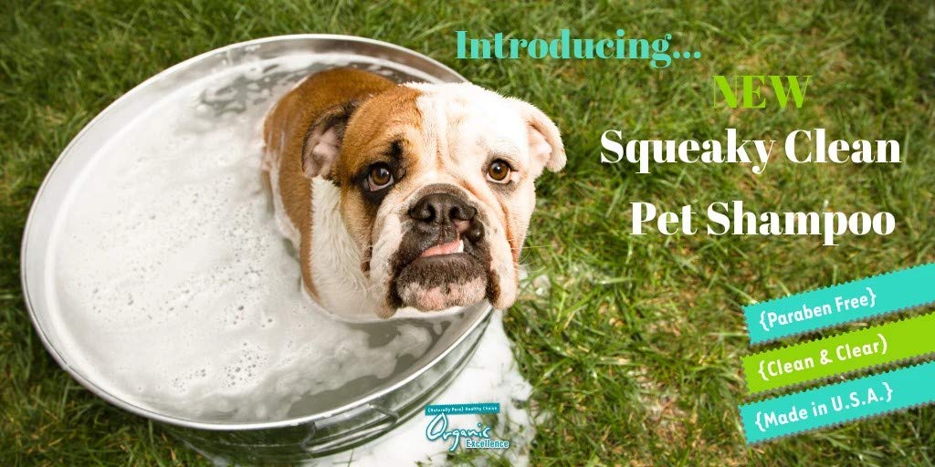 Organic Excellence Mild Dog Shampoo, Great For All Pets: Dogs, Puppies, Cats, Horses, Formulated For Sensitive Skin, Made With A