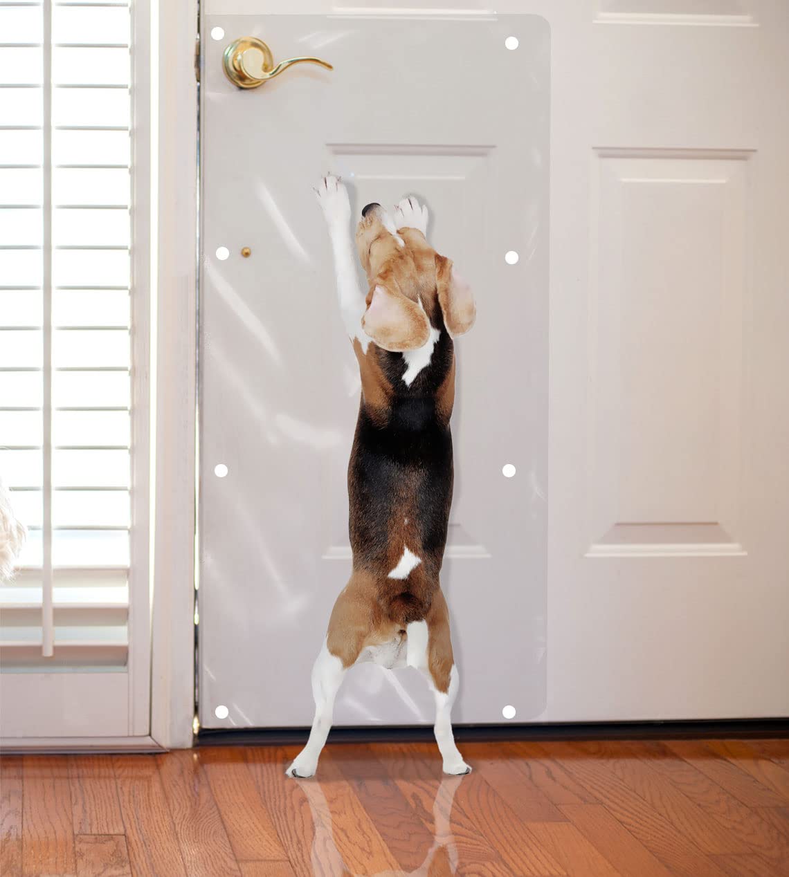 The Original Laminet Deluxe Dog Scratch Shield - Protect Your Doors & Walls With Our Deluxe Heavy-Duty Flexible Plastic Dog Scra