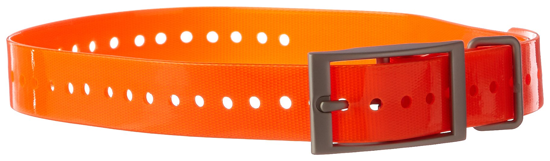 Garmin 1-Inch Dog Collar, Orange
