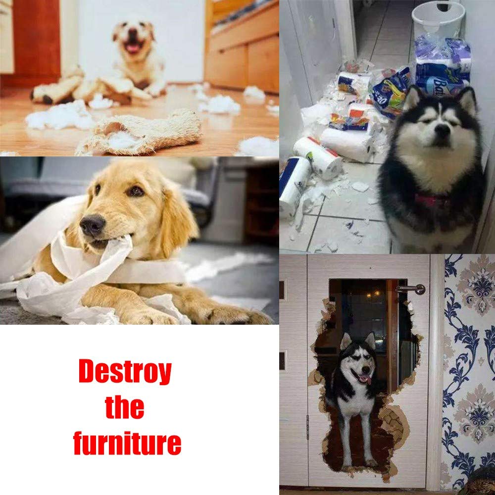 AWOOF Pet Snuffle Mat for Dogs, Interactive Feed Game for Boredom, Encourages Natural Foraging Skills for Cats Dogs Bowl Travel