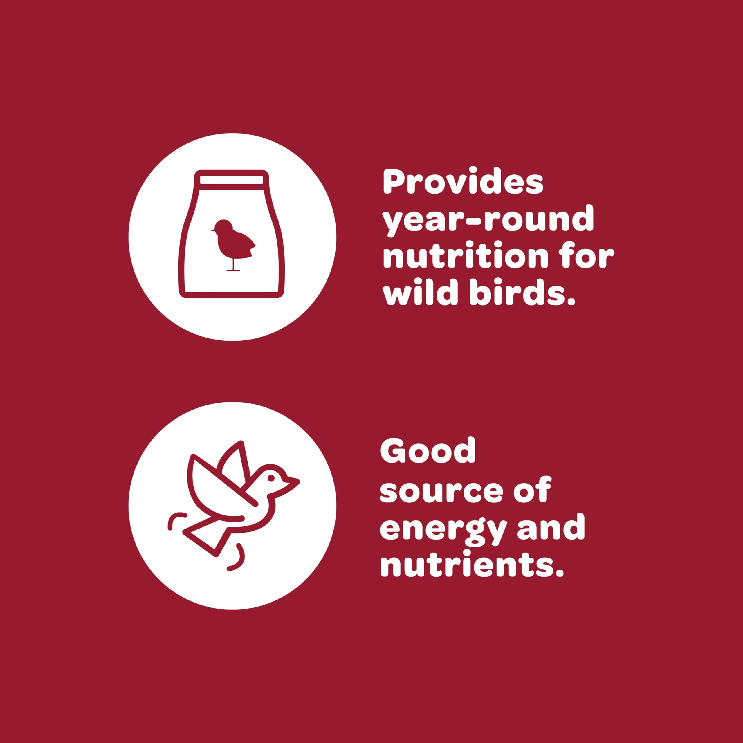 Kaytee Wild Bird Peanut Cake, 2.68 Lb