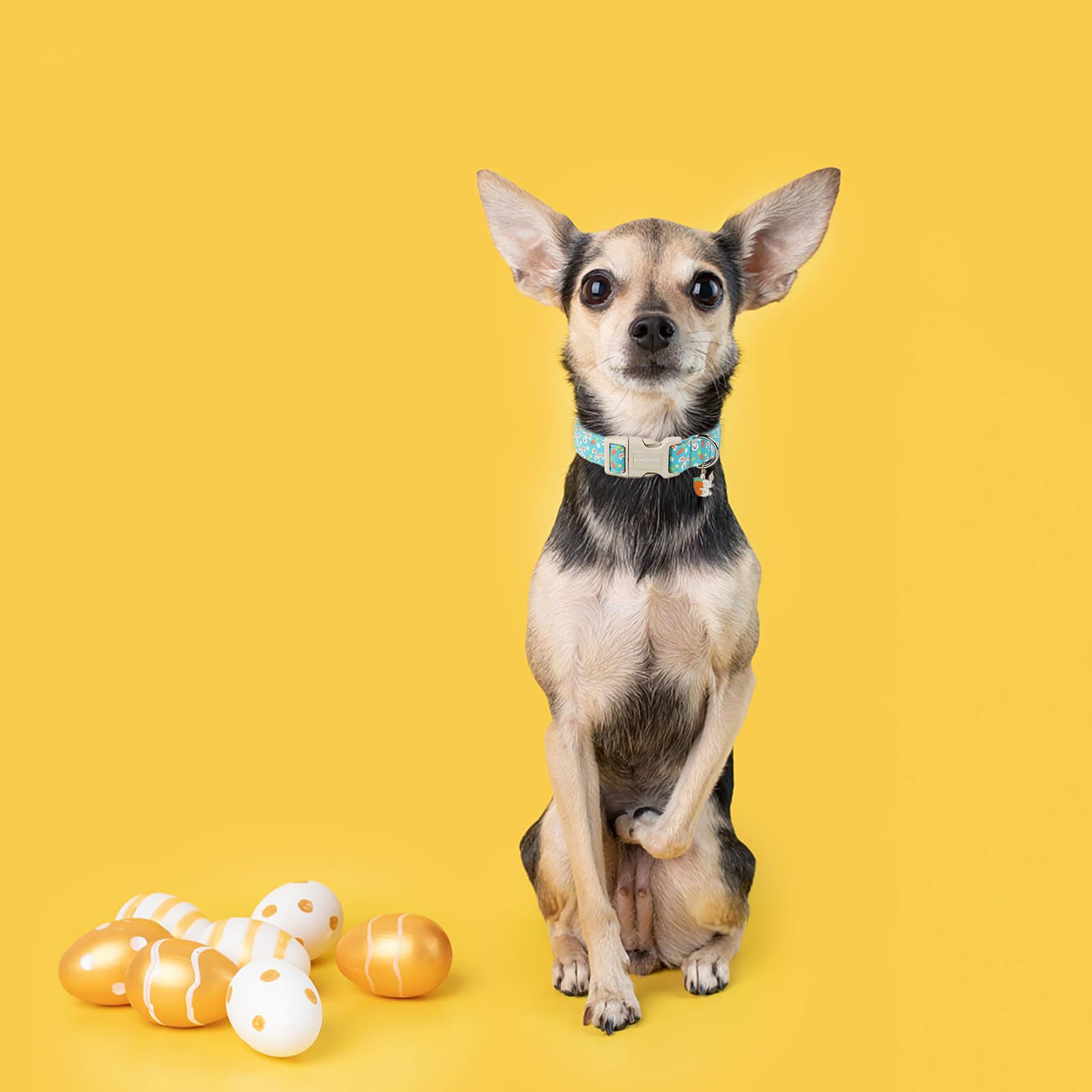 Dogwong Easter Dog Collar, Cute Bunny Carrot Print Dog Collars Adjustable Easter Day Puppy Heart Dog Collar For Small Medium Lar