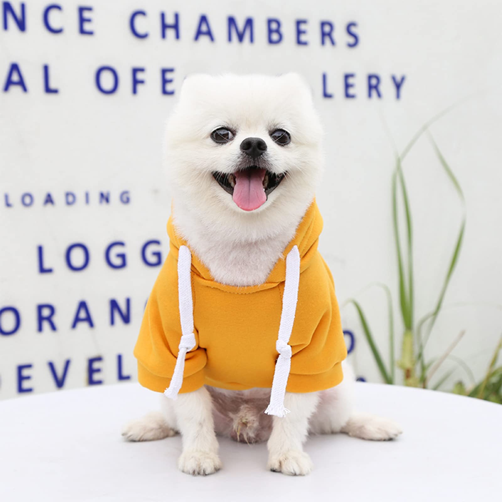 Petcare Small Dog Hoodie Cat Sweater Yellow Warm Soft Fleece Sweatshirts With Pocket Fall Winter Puppy Sweaters Cat Clothes For