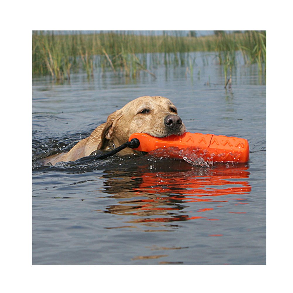 Avery ASD HexaBumper - Sporting Dog Floating Training Dummy with Hex Design & Throw Rope (Orange, 2'' Diameter Single Pack)