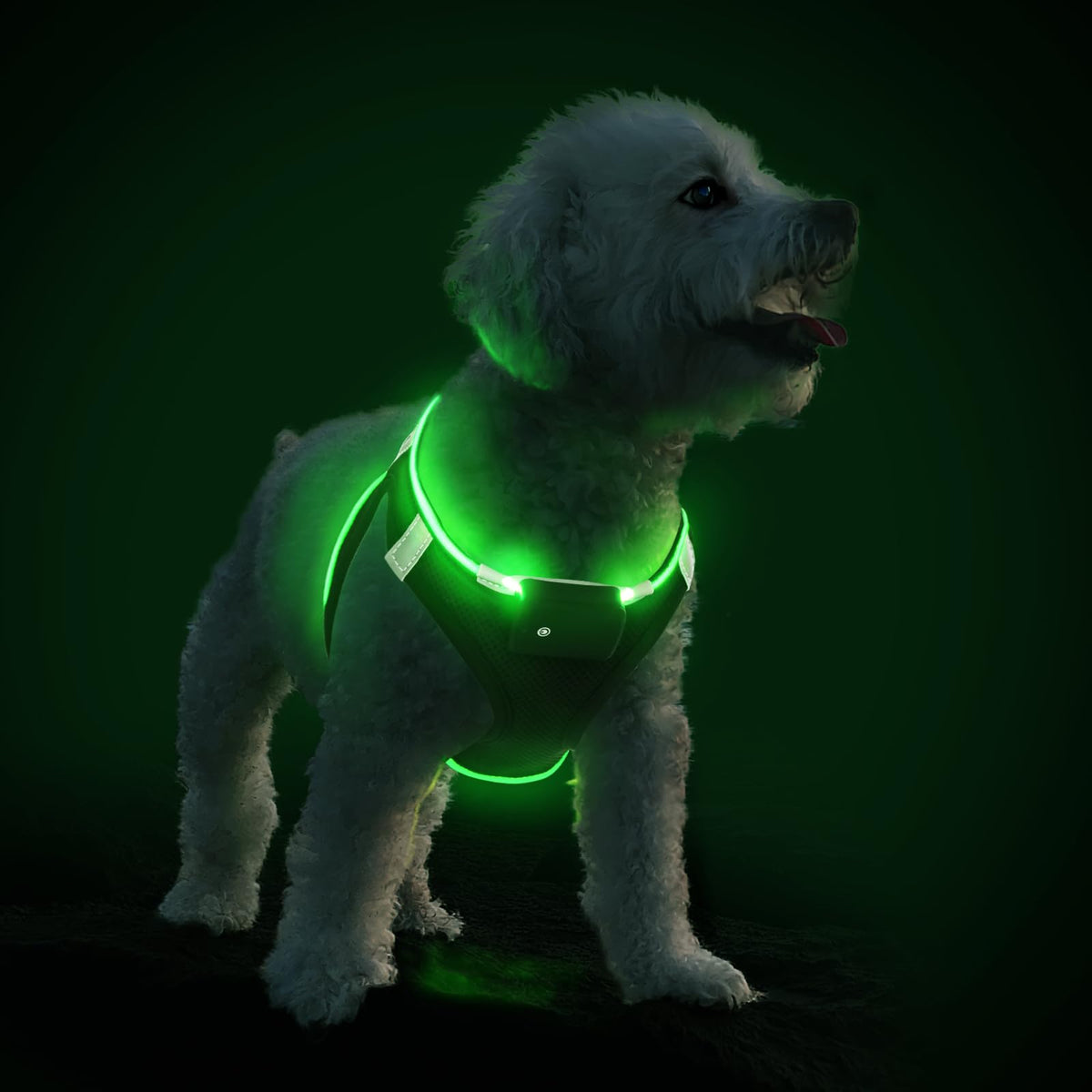Pceotllar Led Dog Harness For Puppy - Small/Medium, Rechargeable No-Pull, Reflective Flashing For Night Walking (Green)