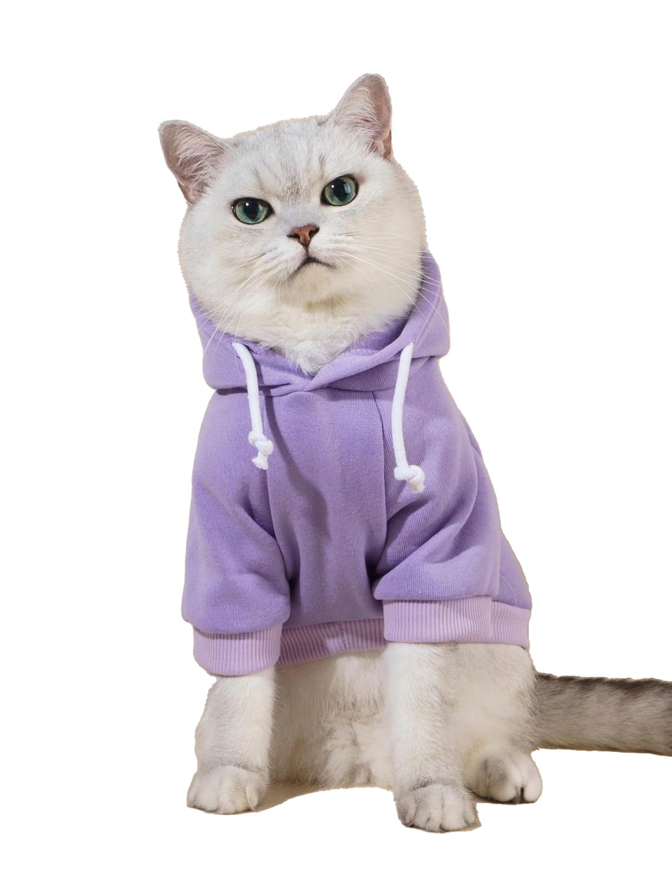 QWINEE Basic Dog Hoodie, Dog Warm Jacket, Cat Apparel, Dog Shirt, Dog Clothes for Puppy Kitten Small Medium Dogs Cats Mauve Purp