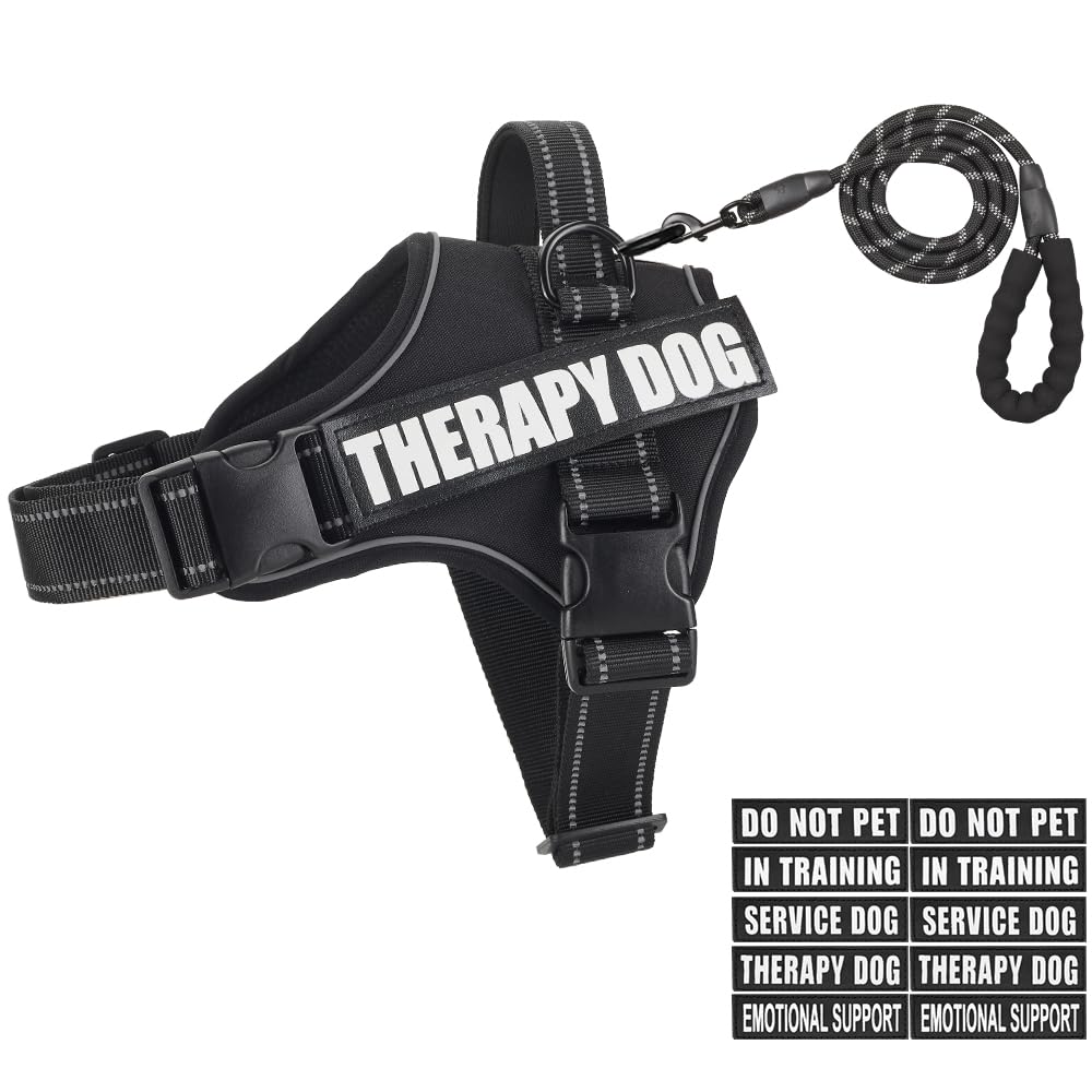 Dog Vest Harness and Leash Set, Animire Reflective Service Dog Vest with 10 Patches, 3 Rings No Choke Pet Vest for Leash Placeme