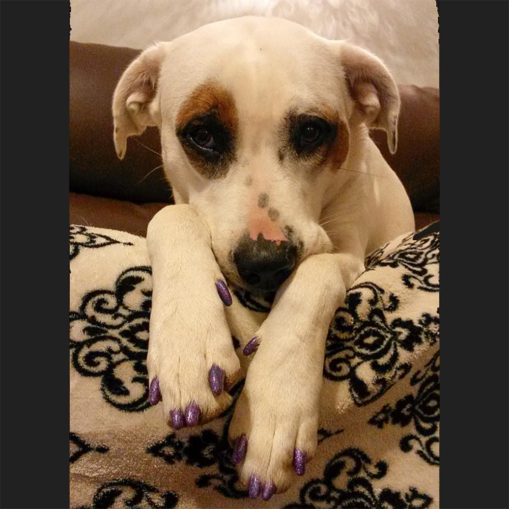 Purrdy Paws Soft Nail Caps 60 Packs For Dogs - Silver Holographic Glitter Jumbo