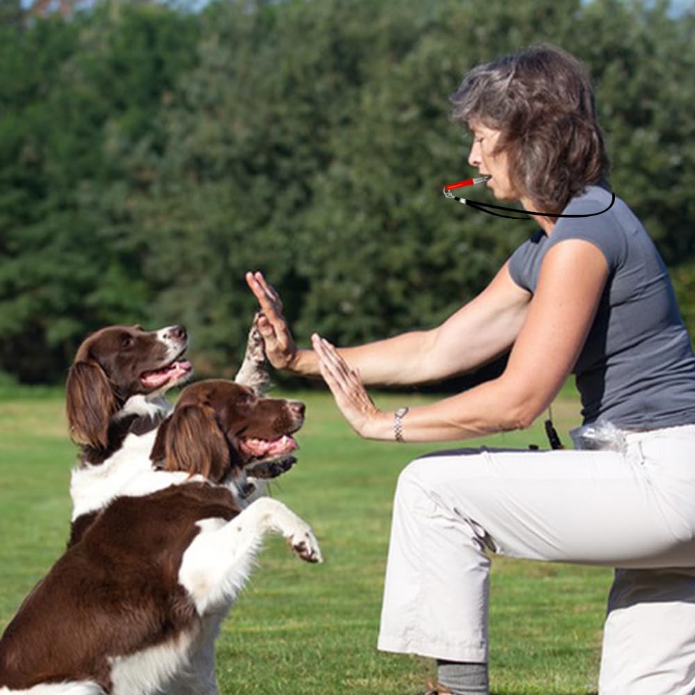 Lyflux 3 Pcs Dog Whistle, Dog Whistle To Stop Barking, Dog Whistle To Make Dogs Come To You, Dog Whistle Training, Dog Whistle T