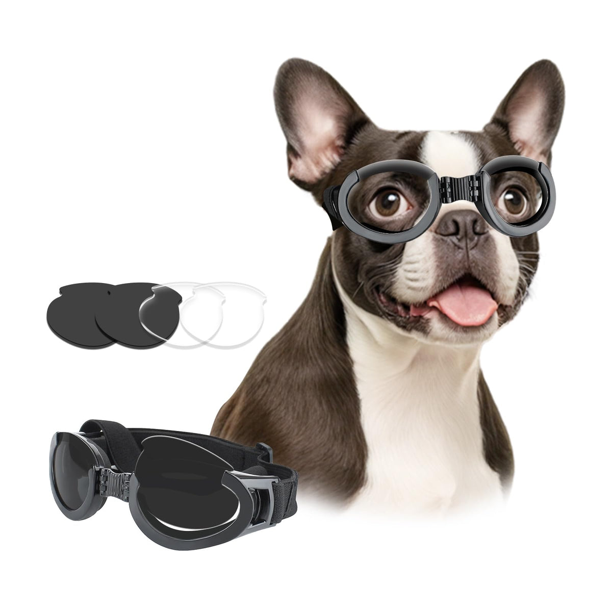 boston terrier goggles Petleso Dog Goggles Medium Breeds, Clear Uv Protection Dog Sunglasses With Black Replaceable Lenses, Adjustable Doggy Glasses Fo
